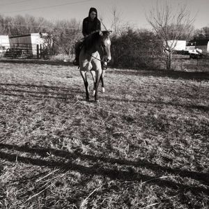 Meet your Posher, Sadie